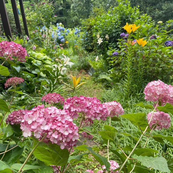 Ali’s This & That 🌸 - Picture 13 of 14